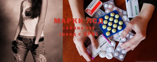спиды Аркадак