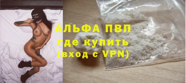 спиды Аркадак