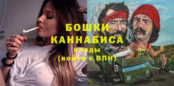 прущая мука Арсеньев