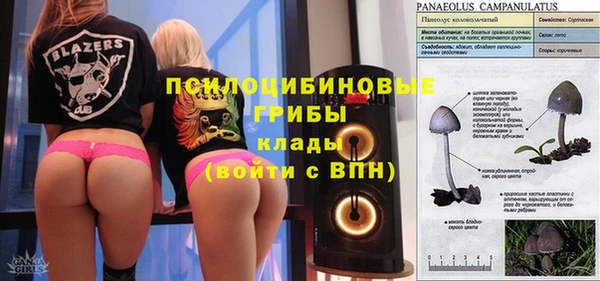 прущая мука Арсеньев