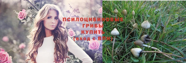 прущая мука Арсеньев