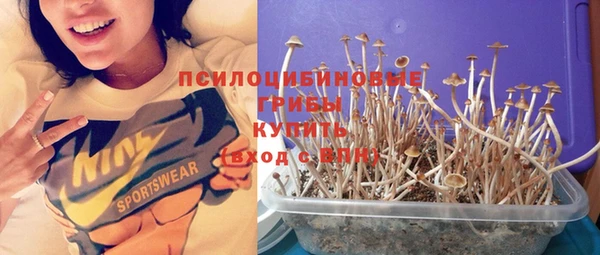 прущая мука Арсеньев