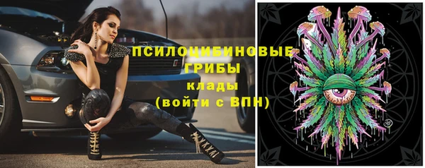 спиды Аркадак