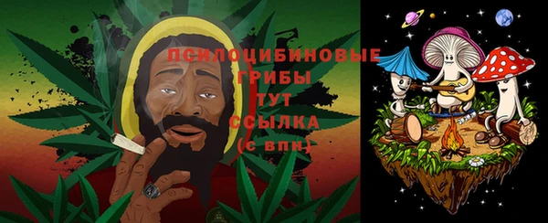 прущая мука Арсеньев