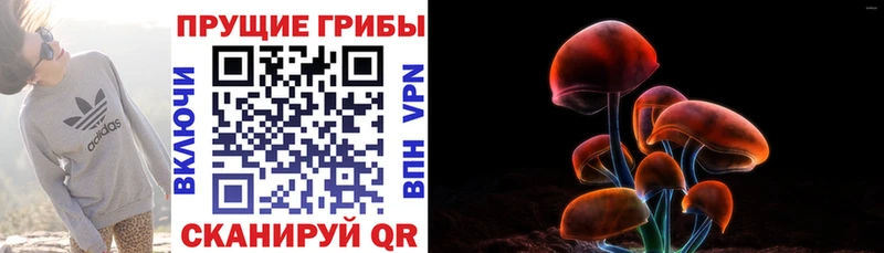 Купить закладки  Сатка  Псилоцибиновые грибы MAGIC MUSHROOMS 